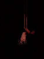 Antigravity