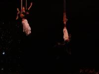 Antigravity